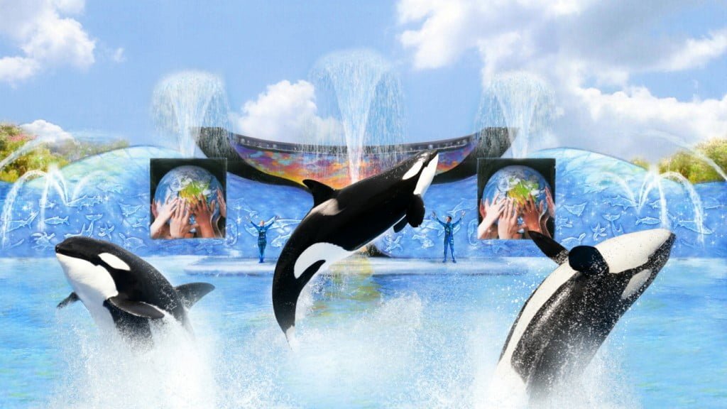 Sea World - Orlando show-da-baleia-shamu