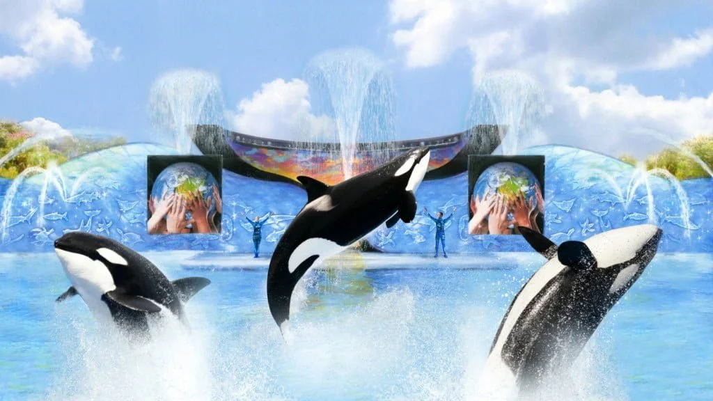 SeaWorld Orlando terá 1ª montanha-russa do mundo para surfar no ar