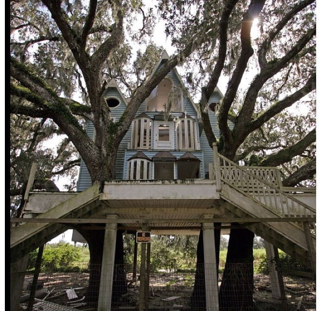 dimitridoni-Brooksville