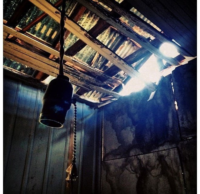 florida_purtykitty-unknown