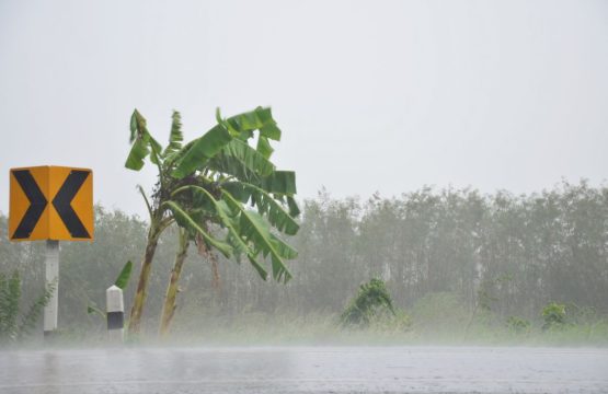 Época de furacão em Orlando