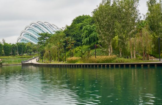 Gatorland em Orlando