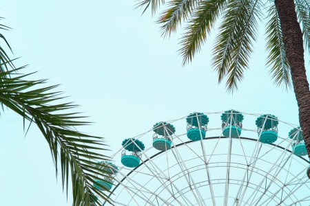 Hollywood Studios Orlando