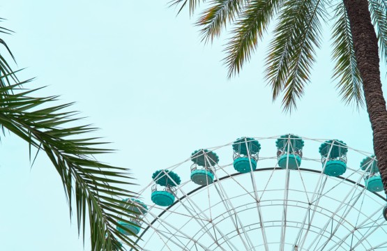 Hollywood Studios Orlando