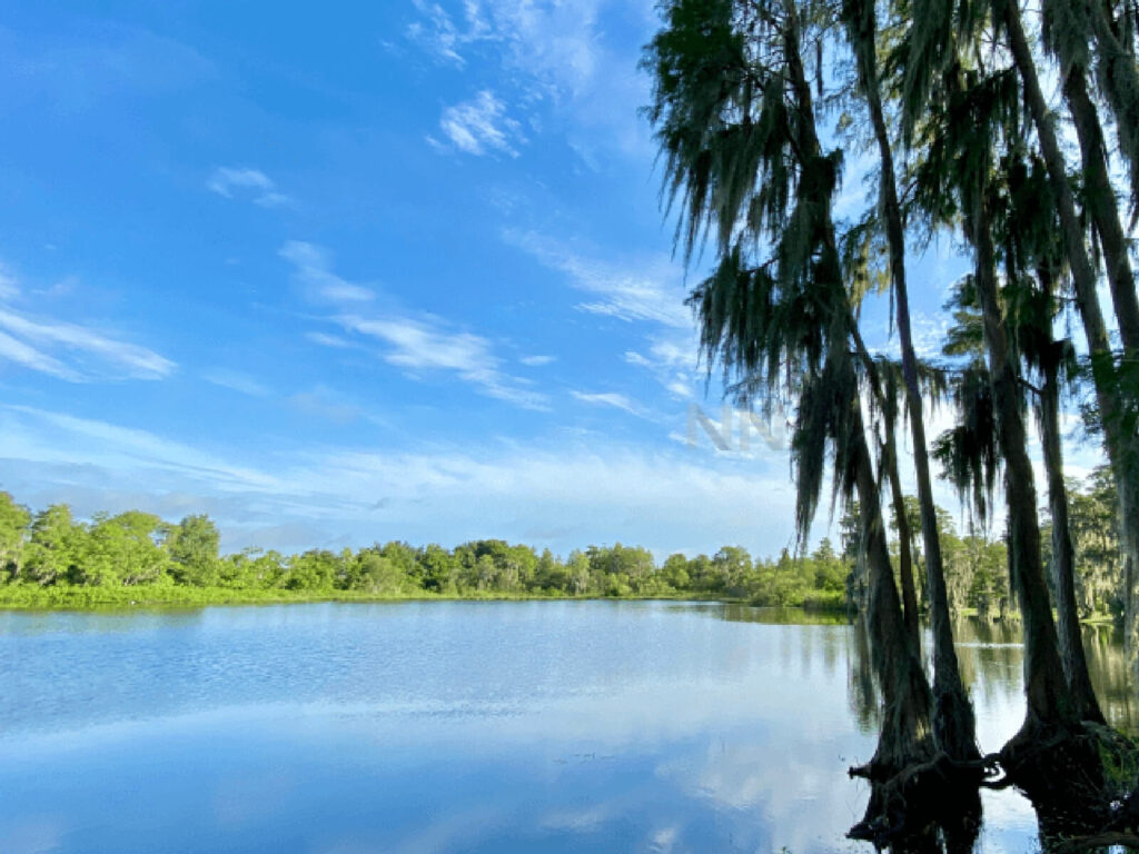 Formosa Gardens