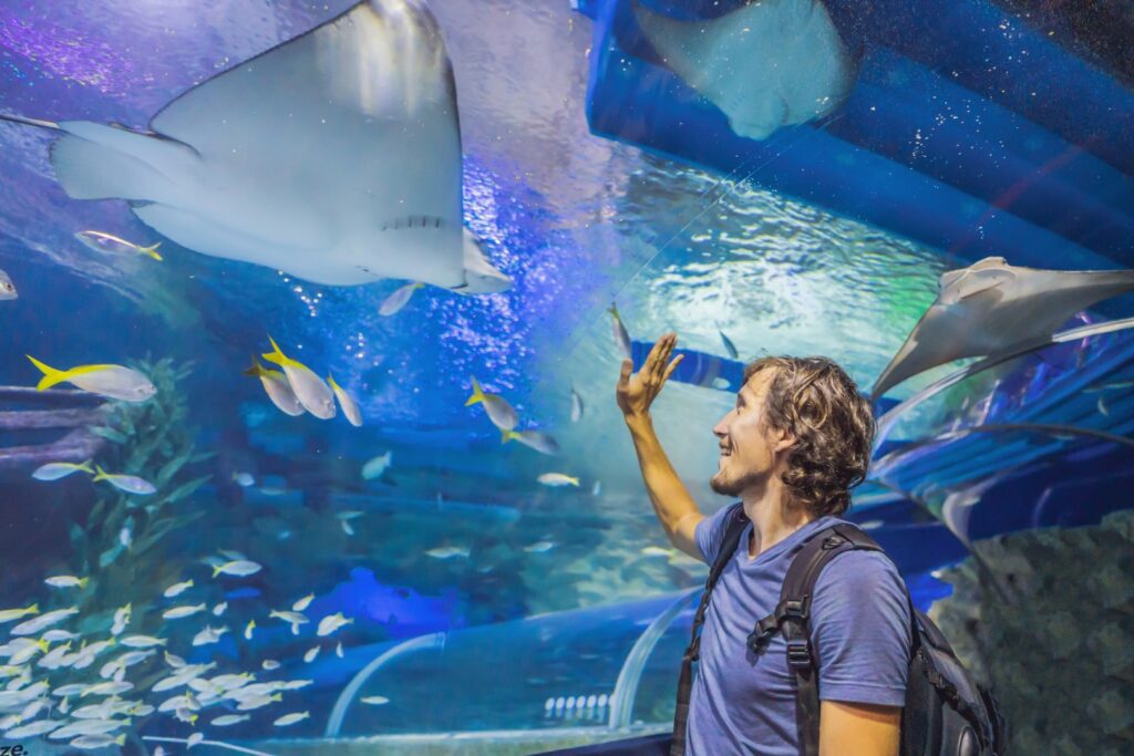 SeaWorld Orlando: o que fazer, principais atrações e dicas para visitar